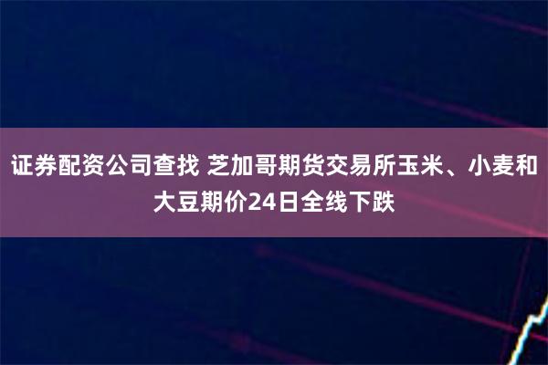 证券配资公司查找 芝加哥期货交易所玉米、小麦和大豆期价24日全线下跌