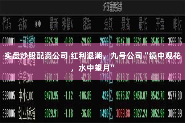 实盘炒股配资公司 红利退潮，九号公司“镜中观花，水中望月”